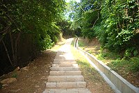 　擁有三十年以上歷史的福澳嶺至聚英路步道，今年六月整建完成，捨棄原本的水泥路面，取而代之的是花崗石階梯，樓梯設計也是工務局徵詢民意代表與鄉親的建議。（圖／文：邱竟瑋）