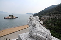 　守望芹壁的青蛙與烏龜。（圖與文：陳鵬雄）