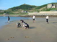 　2010莒光花蛤節第二梯次登場，不畏艷陽，遊客也要在福正潮間帶尋寶。夜間導覽行程引領旅客看到東莒另一面。（圖／文：林冰芳）