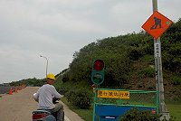 福澳至清水道路工程昨天上午十一時許疑似因為停電,造成臨時紅綠燈停擺,駕駛人無所適從,只有硬著頭皮前進。(圖/文:邱竟瑋)