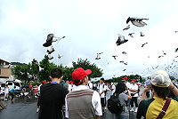 全村一起來熱鬧!(圖與文:張登傑、陳樂團)