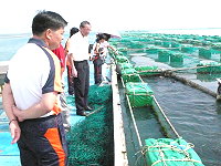 　連江縣長楊綏生、立委曹爾忠昨日參訪澎湖政經建設，做為馬祖未來發展參考，圖為專門養殖海鱺、紅魽、龍膽石斑等高價魚類的天和公司養殖區。（圖：連江縣政府提供）
