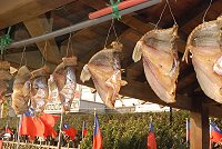 最近一週馬祖天氣乾冷,南竿街頭隨處可見各家曬魚乾。(圖/文:邱竟瑋)