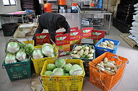 　坂里三寶熱賣！農會人員忙著裝箱打包。（圖／文：陳鵬雄）