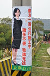 打美女牌　圖與文：陳鵬雄