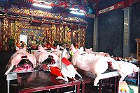 　南竿珠螺玄天上帝廟今年還願民眾特多，七豬一羊在供桌上讓別村也稱奇，不過珠螺村民卻是相當歡欣鼓舞，對於自己村莊信仰深具信心。（圖／文：劉秋月）