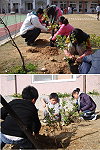 東莒國小舉辦植樹節活動並賦予孩子們養護重責。(圖/文:林冰芳)