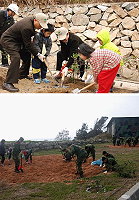 (圖上)慶祝建國百年,響應節能減碳政策,連江縣政府昨天上午舉行植樹節活動,在福清外環道種下一百五十多棵厚葉石斑木,未來將陸續推動林相更新。(圖/文:邱竟瑋);(圖下)軍民共同努力之下,東引地區今年的植樹綠化成果已超越預期。(圖/文:陳其敏)