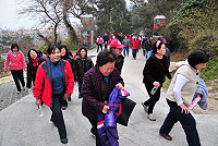 　全村一起來熱鬧！（圖與文：張登傑、陳樂團）