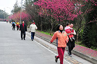 　全村一起來熱鬧！（圖與文：張登傑、陳樂團）