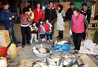 東莒釣鱸魚破千斤（圖與文：曹以鋒）