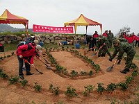 　東引軍民慶祝百年植樹節，栽種海桐等樹苗打造東引綠色未來。（圖：東引鄉公所提供）