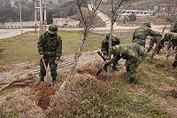 官兵弟兄們手腳俐落,共同植樹綠化環境。(圖/文:賴彥甫)