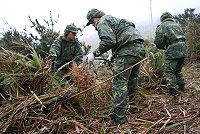 愛民助民 東引指揮部辦理清明節環境打掃工作。(圖:鄭尹翔/文:王仁杰)