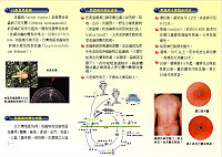 　馬祖民眾掃墓常前往草叢地帶，衛生署疾病管制局提醒慎防恙蟲。（圖：衛生署疾病管制局提供）