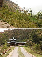 四月的南竿津仁步道野花綻放,搭配碉堡、海景和公園,呈現多層次美感。(圖/文:邱竟瑋)