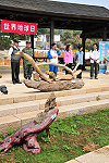 　全村一起來熱鬧！（圖與文：張登傑、陳樂團）