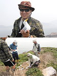 建設局燕鷗誘鳥計畫正式啟動,台北市野鳥學會在中島放置全比例燕鷗模型。(圖:連江縣政府建設局提供/文:陳鵬雄)