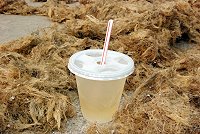 津沙純手工採集、製作的石花菜飲料,吸引旅客嚐鮮。(圖/文:邱竟瑋)