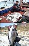 鱸魚殺手蔡凱恩(阿KEN),季尾來馬挑戰擬餌拖釣,享受釣魚樂趣。(圖:蔡凱恩提供/文:陳鵬雄)