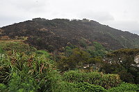 　尼姑山被大火燒得焦黑一片，但坡地上可能仍有地雷或未爆彈尚待處理。（圖／文：陳鵬雄）