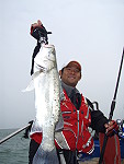 　季尾鱸魚越來越難釣，釣餌與拖釣技巧都要跟著調整，還是有機會釣到大魚。（圖：蔡凱恩提供）