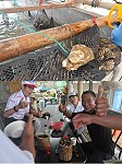 南風吹起馬祖淡菜季,橋仔漁民推出現撈現煮淡菜產品,觀光客吃了都說讚!(圖/文:陳鵬雄)