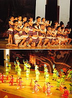 舞動童顏,藝饗百年,介壽藝術季昨晚登場。(圖/文:邱竟瑋)