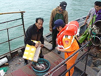 　對岸小船藏匿避檢，海巡隊駕著小艇冒著湧浪，以強力探照燈指引下直驅藏匿地點，以優勢警力強勢登檢，除沒入全數漁具、漁獲，並進行人船留置處分。（圖：馬祖海巡隊提供）