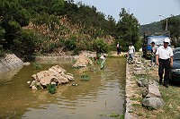 　后澳水庫上方新生態池種植睡蓮，以活化地區植物風貌。（圖／文：邱竟瑋）