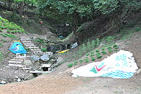 創意步道　圖與文：陳鵬雄