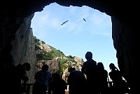 　黑尾鷗視窗。（圖／文：陳其敏）