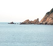 發現蟾蜍登島！　圖與文：劉秋月