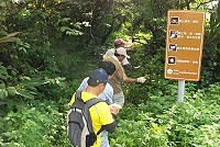 勝天公園下方濱海的山谷,將成為櫻花林栽種地點,林務局人員昨天進一步勘察。(圖/文:邱竟瑋)