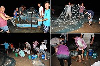 橋仔漁民牽罟大豐收,全村老少澳口分享豐收的喜悅。(圖/文:陳鵬雄)
