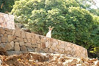 全村一起來熱鬧!(圖與文:張登傑、陳樂團)