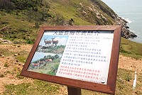 全村一起來熱鬧!(圖與文:張登傑、陳樂團)
