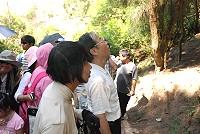 全村一起來熱鬧!(圖與文:張登傑、陳樂團)