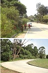 馬支部南竿乙型聯保廠官士兵,協助清除道路鋼筋。(圖/文:曾文亮)
