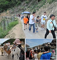 2011年大坵生態之旅首發團快樂出航,35位遊客感受夏日馬祖獨特生態魅力。(圖/文:陳鵬雄)