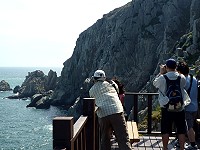 　東引100年安東坑道賞鷗季，已隨著黑尾鷗離開宣告落幕。（圖／文：陳其敏）