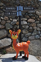Q版梅花鹿（圖與文：陳鵬雄）