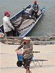 　颱風過後，北竿白沙漁民白巾魚大豐收。（圖／文：陳鵬雄）