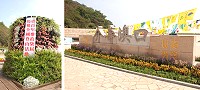 第37屆全國登山社團大會師,馬祖群花爭艷!山芙蓉花柱是一項重點。(圖/文:邱竟瑋)