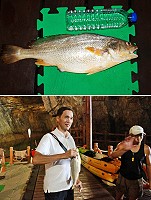 南竿北海坑道昨天撈獲一尾3斤左右野生黃魚,遊客很驚艷,要拍照留念。(圖:曹以鋒)