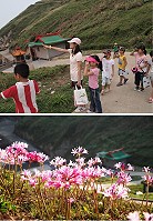 東引國小進行戶外教學,前進西引島探尋紅藍石蒜。(圖/文:陳其敏)