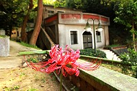 　全村一起來熱鬧！（圖與文：張登傑、陳樂團）