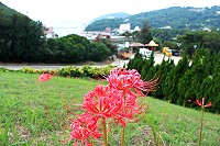 　全村一起來熱鬧！（圖與文：張登傑、陳樂團）