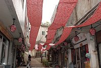 　鐵板燒塔節老街意象出爐，紅花石蒜的緞錦鮮豔奪目。（圖／文：邱竟瑋）