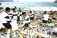 弟兄們仔細分類垃圾,為維護東引美景盡一份心力。(圖/文:康贊清)